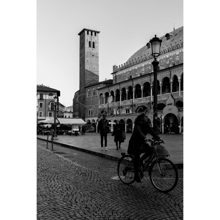 Fotoquadro Serie Biciclette Padova (1 di 2)